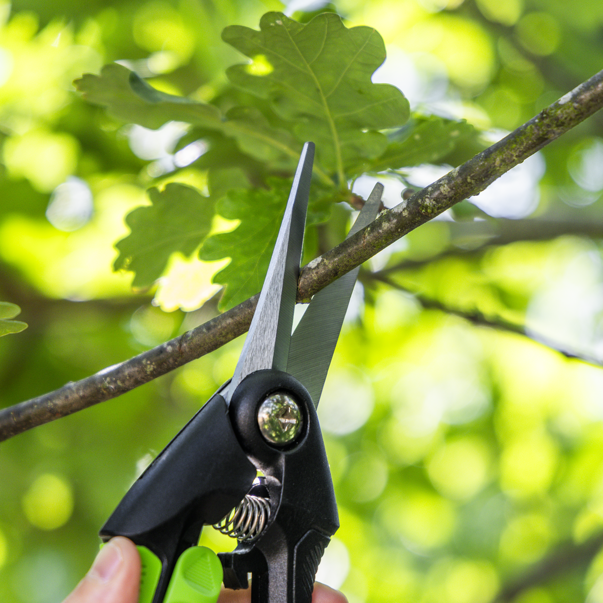 Sealey GTSG003 Pruning Snips with Soft Grip Handle & Carbon Steel Blade, 208mm - additional view 5