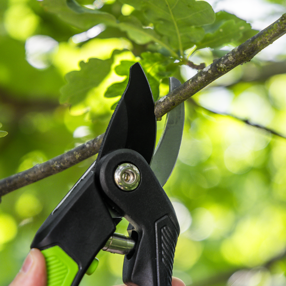 Sealey GTSG004 Bypass Secateurs with Soft Grip Handle, 3-Stage Safety Lock & Carbon Steel Blade, 220mm - additional view 7
