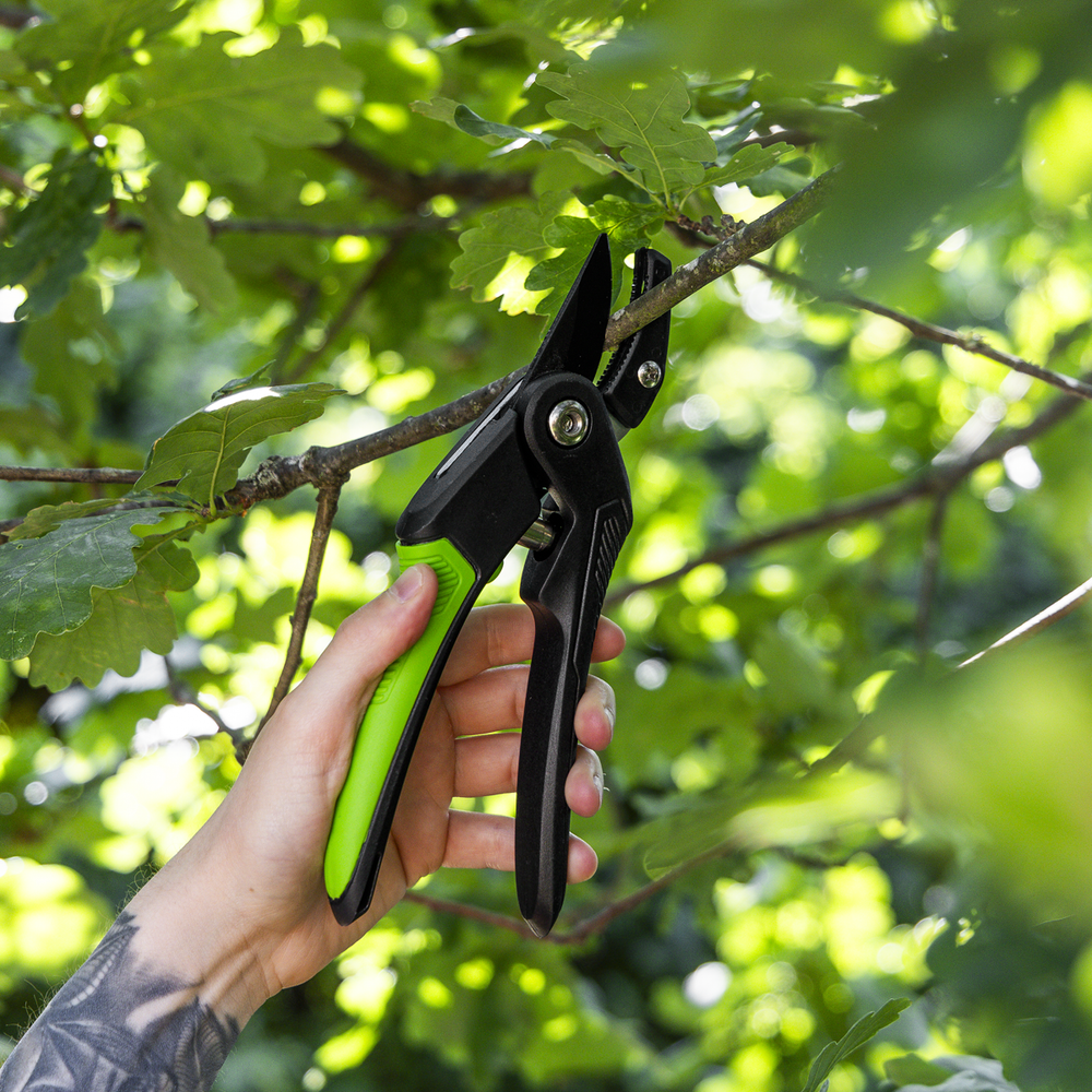 Sealey GTSG005 Anvil Secateurs with Soft Grip Handle, 3-Stage Safety Lock & Carbon Steel Blade, 220mm - additional view 4
