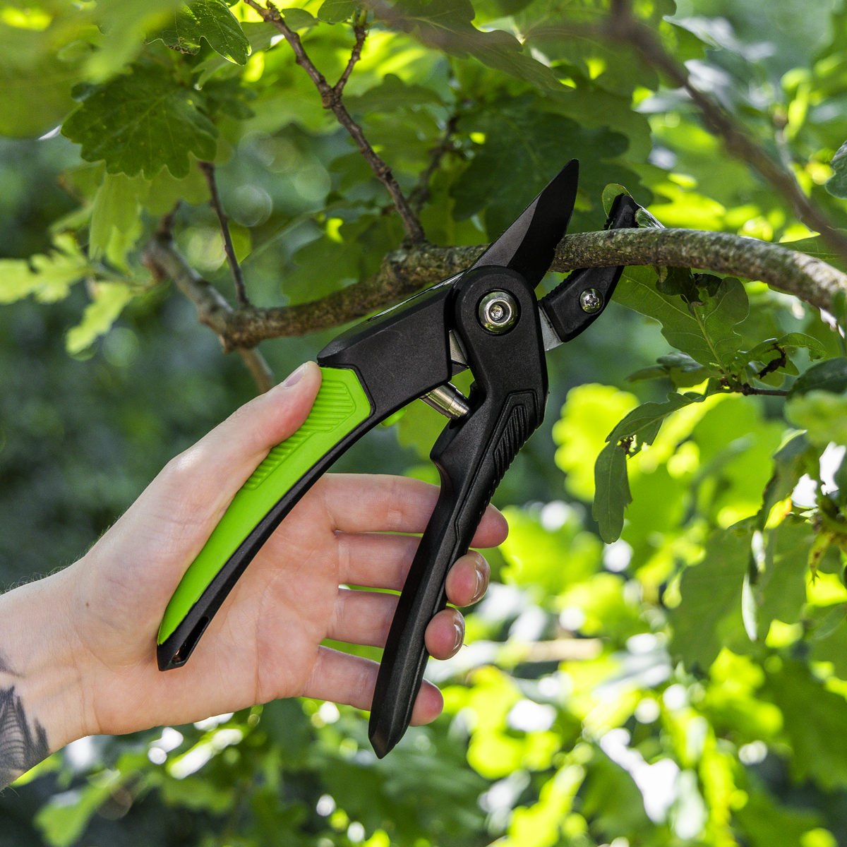Sealey GTSG005 Anvil Secateurs with Soft Grip Handle, 3-Stage Safety Lock & Carbon Steel Blade, 220mm - additional view 6