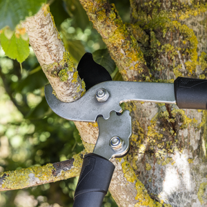 Sealey GTSG014 Bypass Lopping Shears with Soft Grip Handle, Geared & Carbon Steel Blade - additional view 4