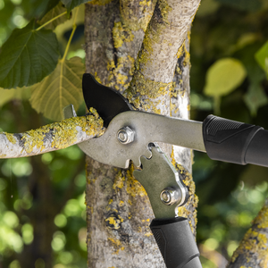 Sealey GTSG014 Bypass Lopping Shears with Soft Grip Handle, Geared & Carbon Steel Blade - additional view 5