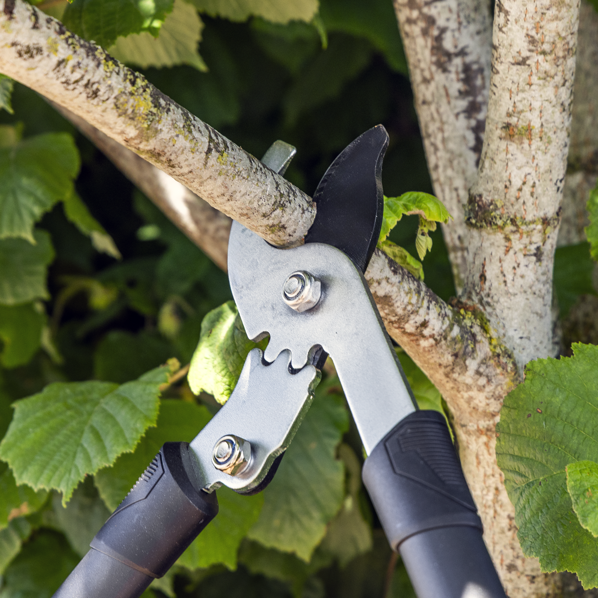 Sealey GTSG016 Telescopic Bypass Lopping Shears with Soft Grip Handle, Geared & Carbon Steel Blade - additional view 10