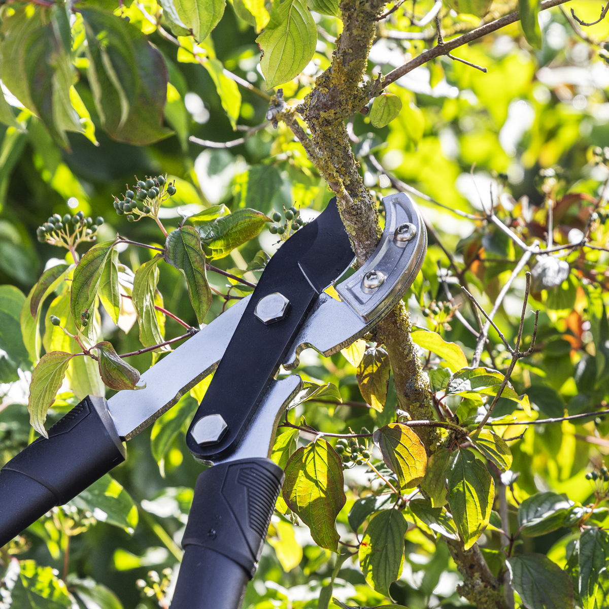 Sealey GTSG017 Telescopic Anvil Lopping Shears with Soft Grip Handle, Geared & Carbon Steel Blade - additional view 7