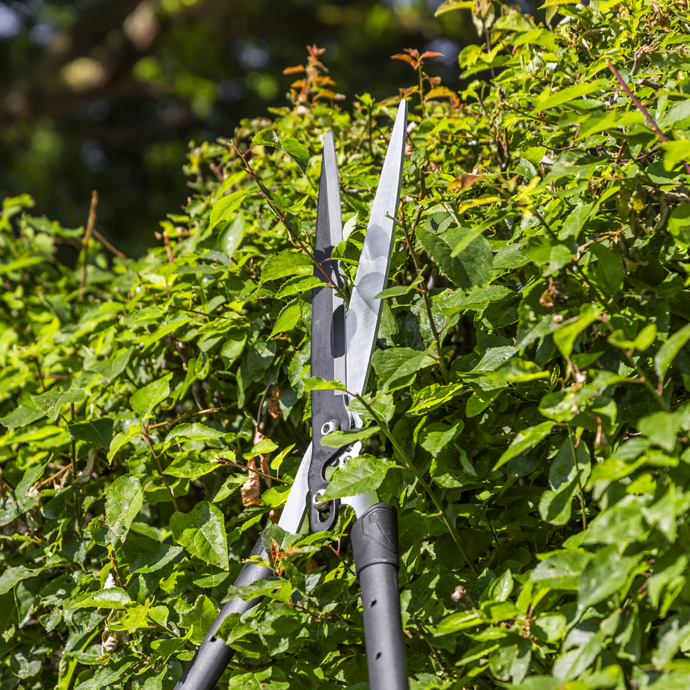 Sealey GTSG019 Telescopic Hedge Shears with Soft Grip Handle & Carbon Steel Blade - additional view 7