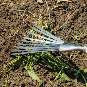 Sealey GTWH001 Premier Leaf Hand Rake with Ash Handle & Stainless Steel Tines - additional view 6