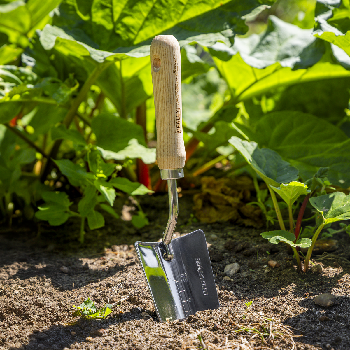 Sealey GTWH003 Premier Hand Trowel Hand Trowel with Ash Handle & Stainless Steel Blade - additional view 11
