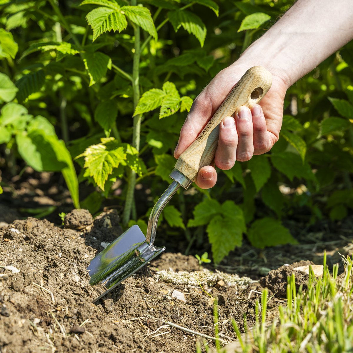 Sealey GTWH003 Premier Hand Trowel Hand Trowel with Ash Handle & Stainless Steel Blade - additional view 5