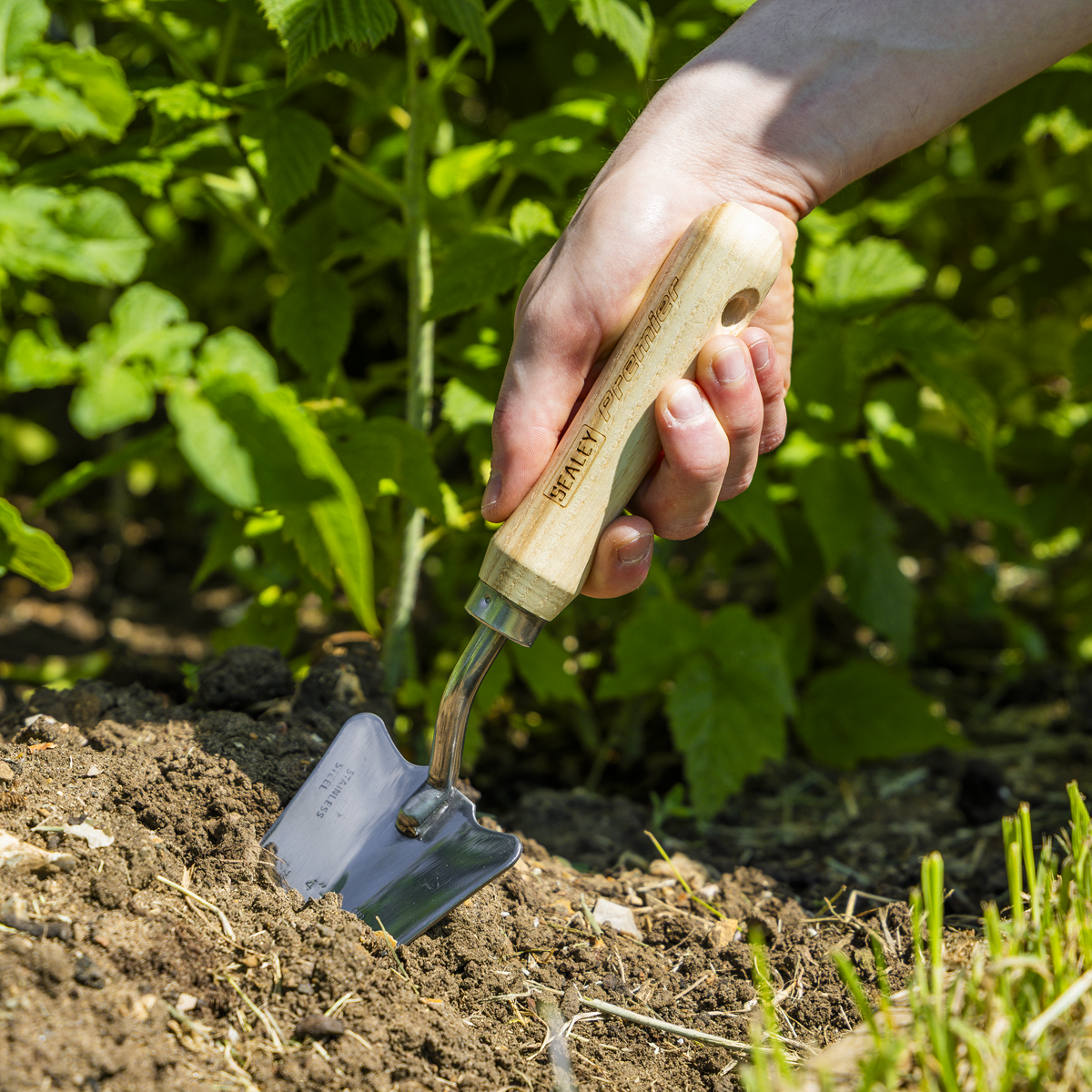 Sealey GTWH004 Premier Slim Head Trowel with Ash Handle & Stainless Steel Blade - additional view 9
