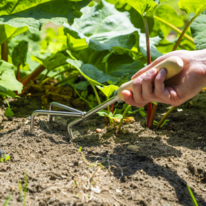 Sealey GTWH005 Premier Cultivator with Short Ash Handle & Stainless Steel Tines - additional view 5