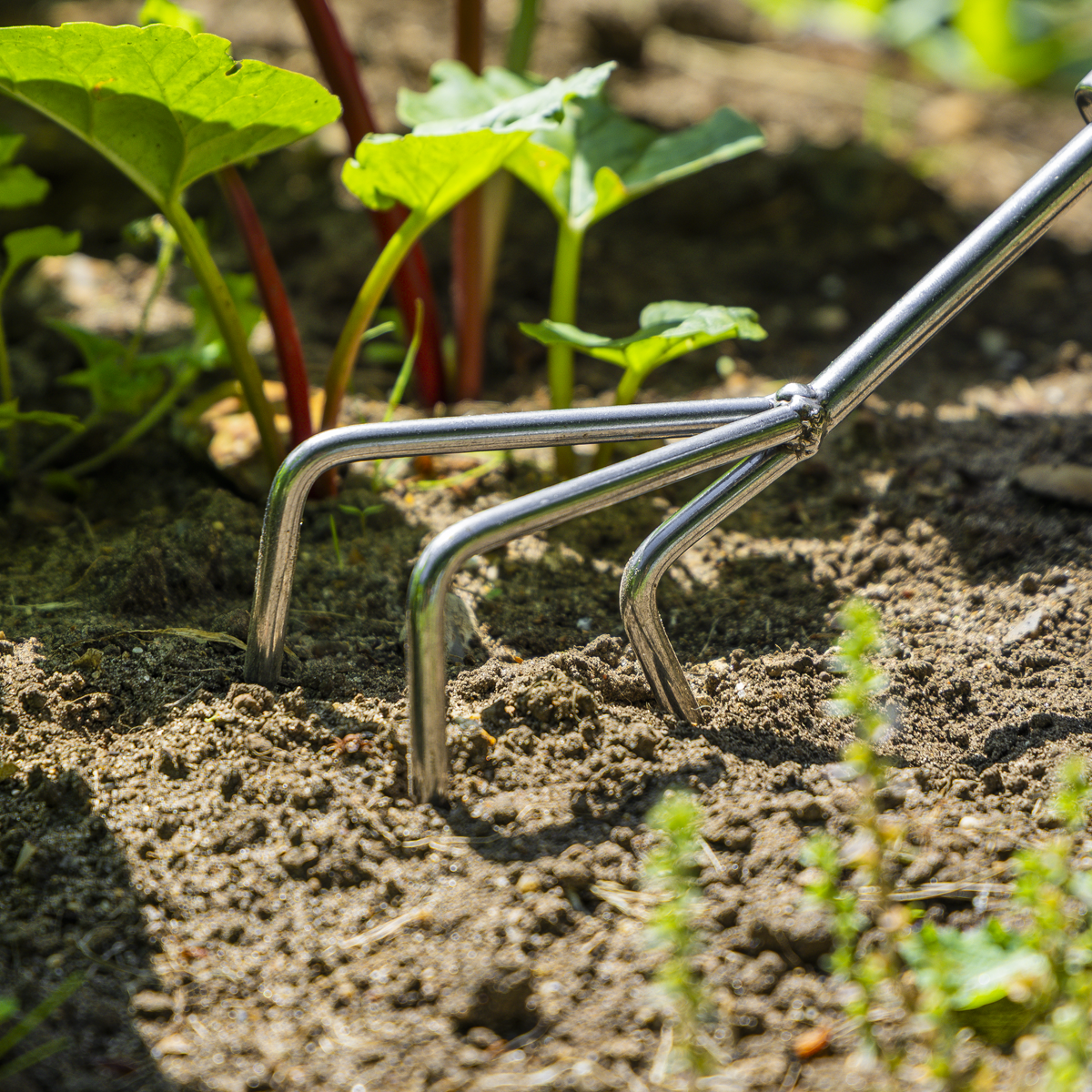 Sealey GTWH005 Premier Cultivator with Short Ash Handle & Stainless Steel Tines - additional view 4