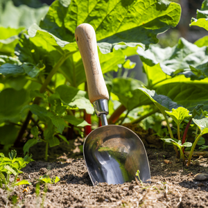 Sealey GTWH006 Premier Garden Scoop with Ash Handle & Stainless Steel Head - additional view 4