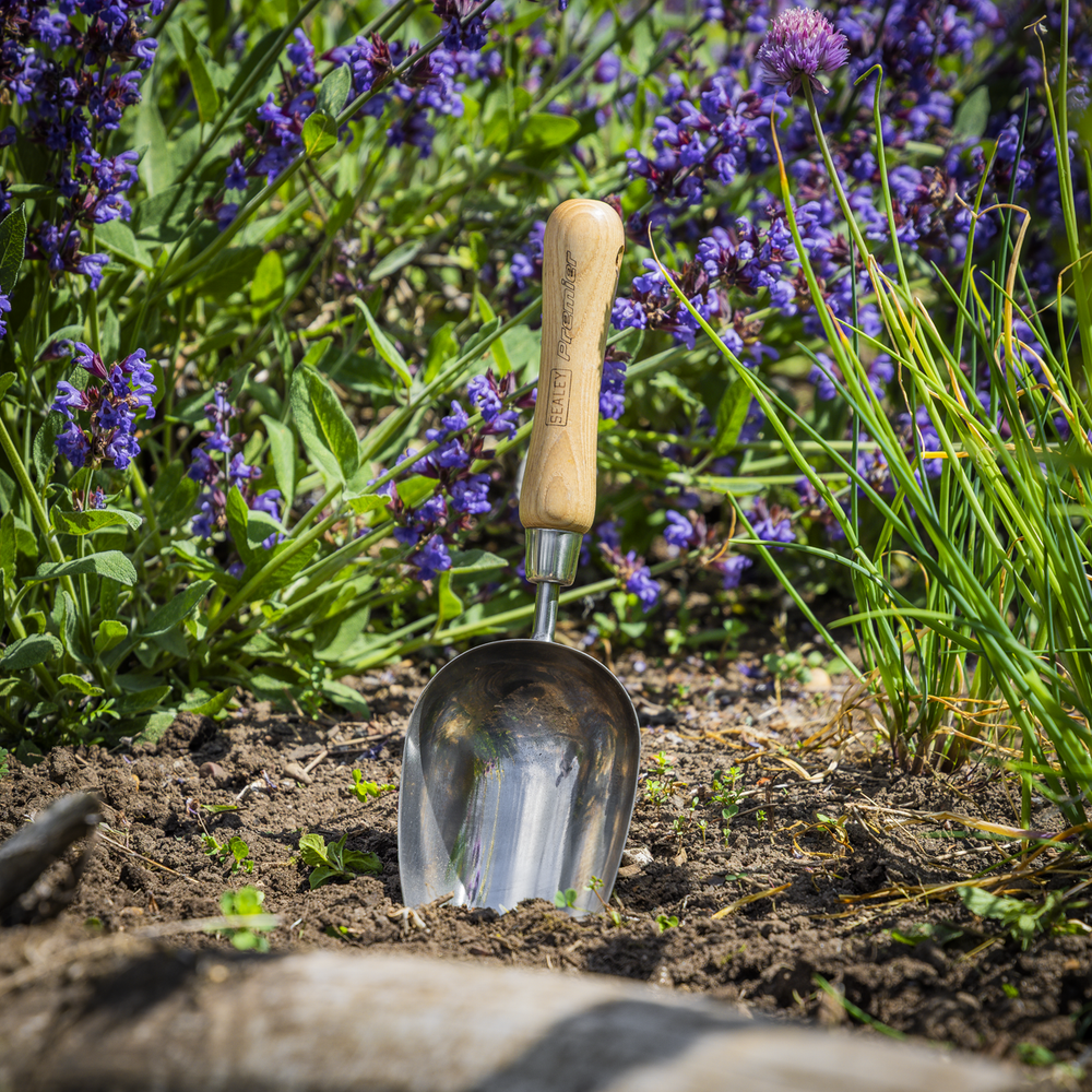 Sealey GTWH006 Premier Garden Scoop with Ash Handle & Stainless Steel Head - additional view 9