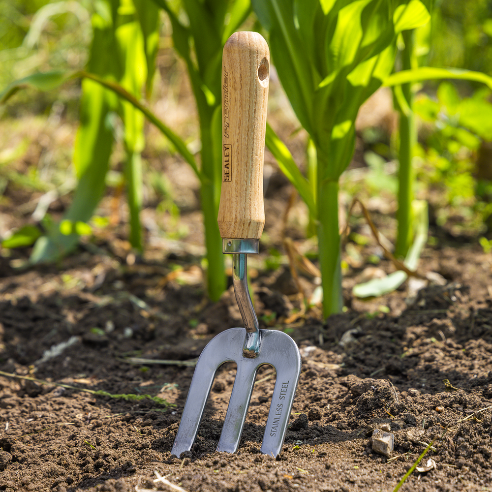 Sealey GTWH007 Premier Garden Hand Fork with Ash Handle & Stainless Steel Tines - additional view 4