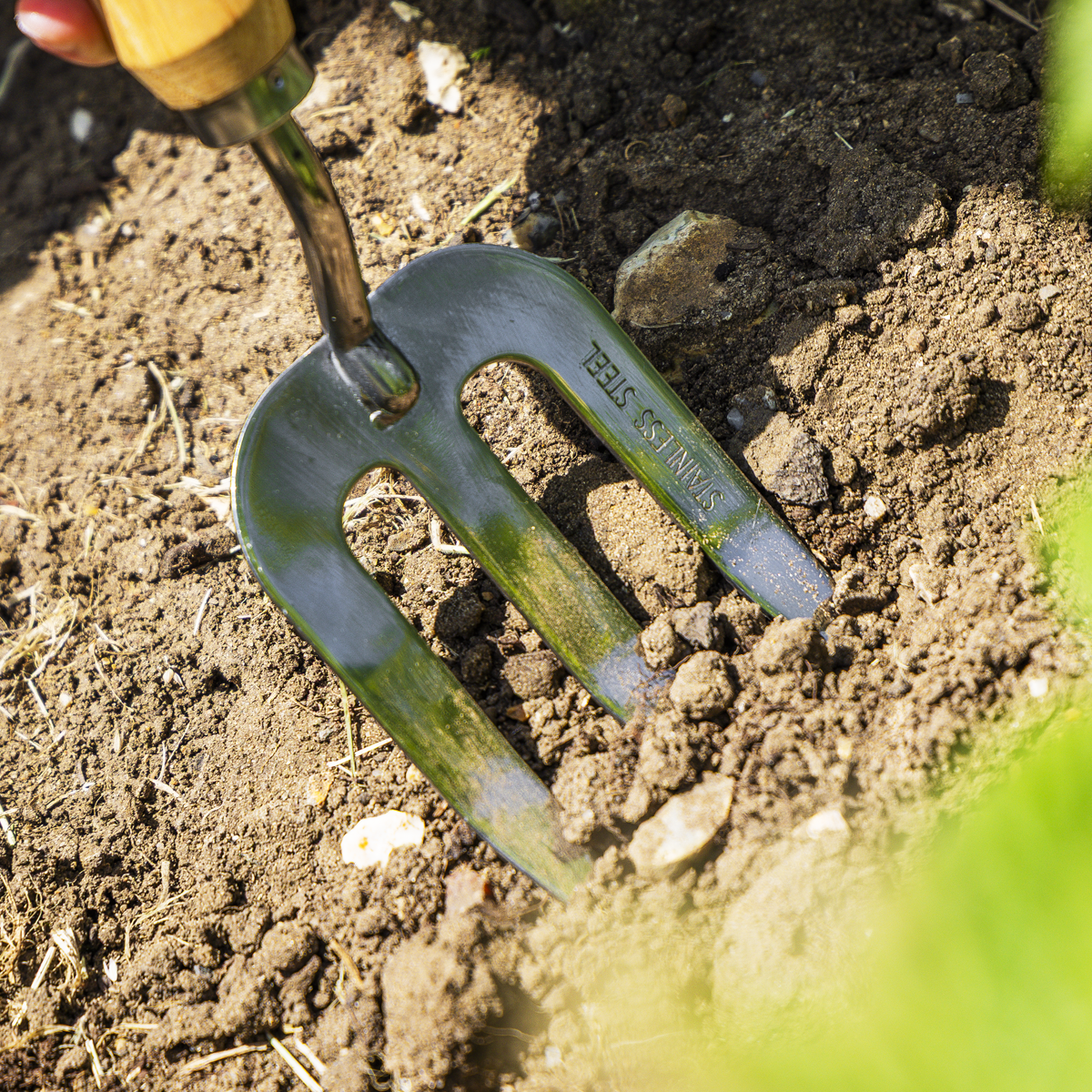 Sealey GTWH007 Premier Garden Hand Fork with Ash Handle & Stainless Steel Tines - additional view 8