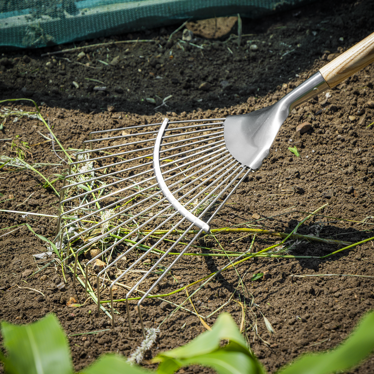 Sealey GTWH010 Premier Lawn Rake with Long Ash Handle & Stainless Steel Tines - additional view 5