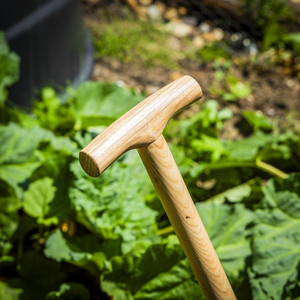 Sealey GTWH014 Premier Lawn Edger with Long Ash Handle & Stainless Steel Blade - additional view 5