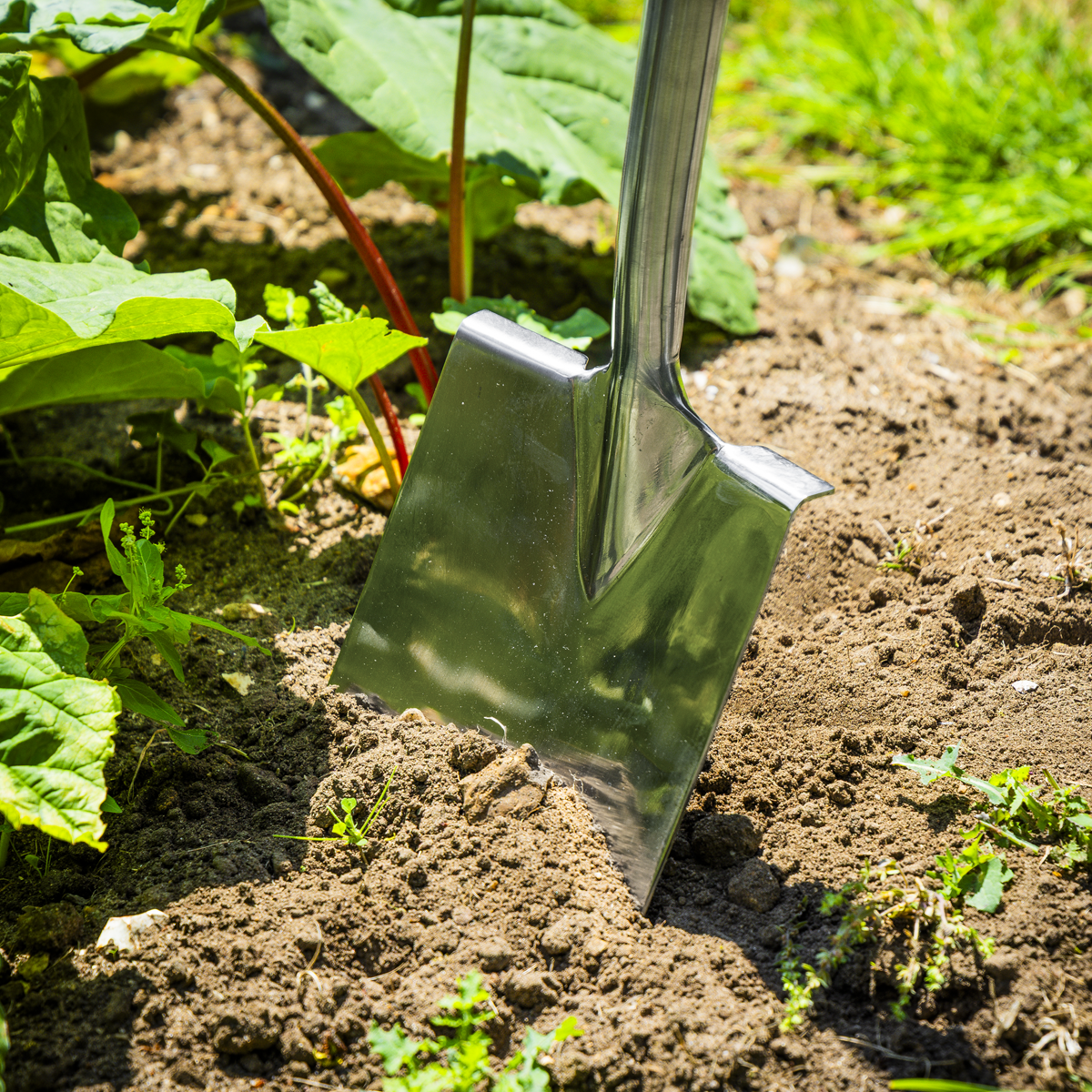 Sealey GTWH015 Premier Digging Spade with Ash Y Handle & Stainless Steel Blade - additional view 7