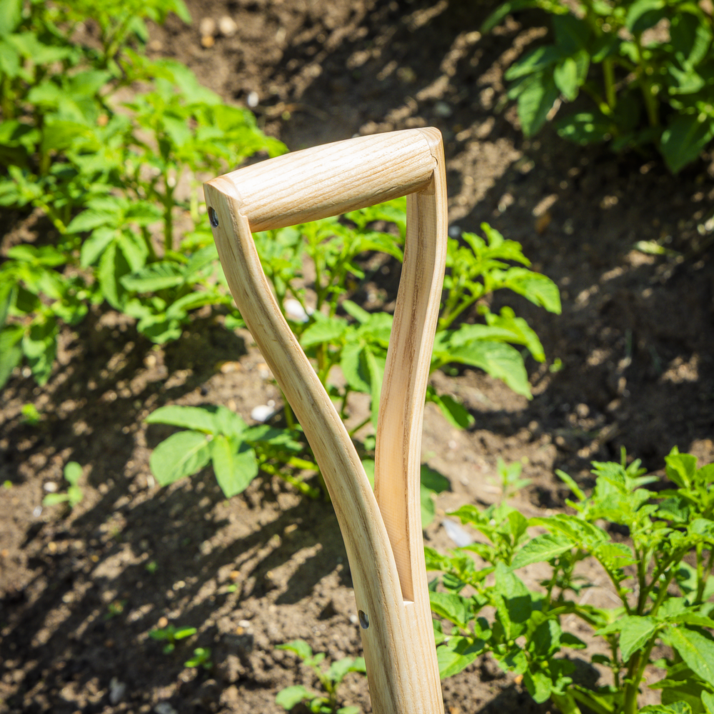 Sealey GTWH016 Premier Digging Fork with Ash Handle & Stainless Steel Tines - additional view 6