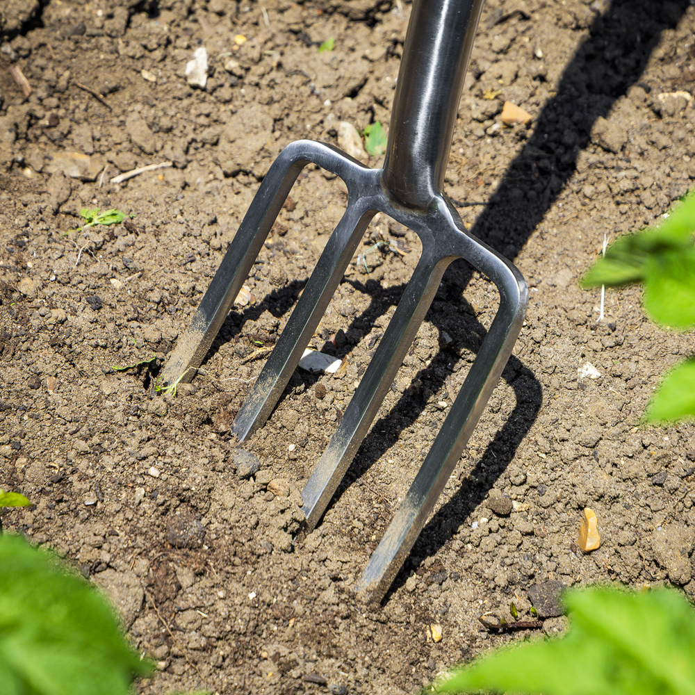 Sealey GTWH016 Premier Digging Fork with Ash Handle & Stainless Steel Tines - additional view 4