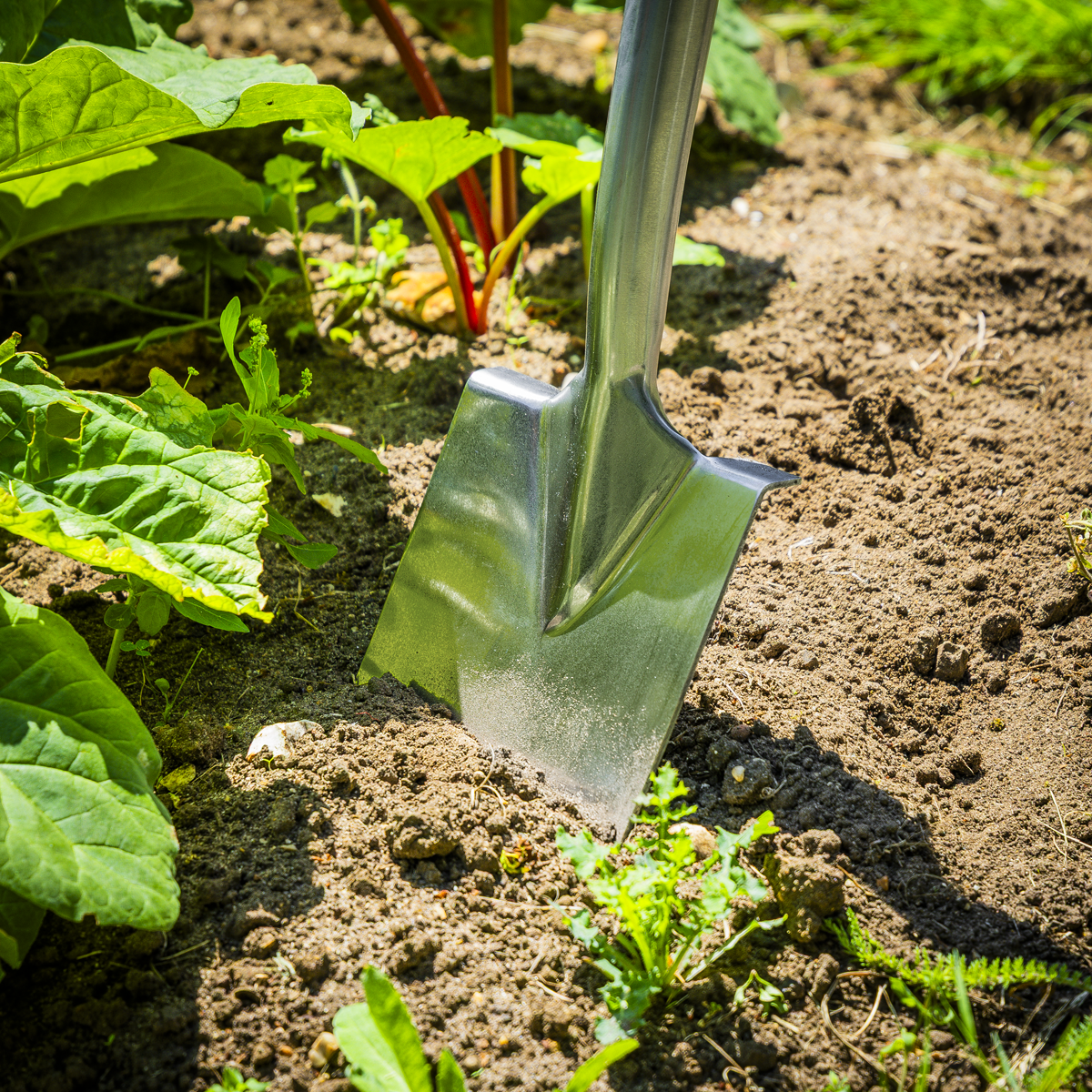 Sealey GTWH017 Premier Border Spade with Ash Y Handle & Stainless Steel Blade - additional view 3
