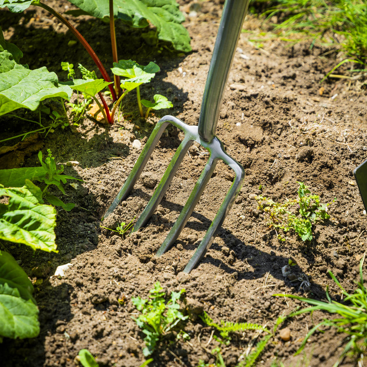 Sealey GTWH018 Premier Border Fork with Ash Handle & Stainless Steel Tines - additional view 11