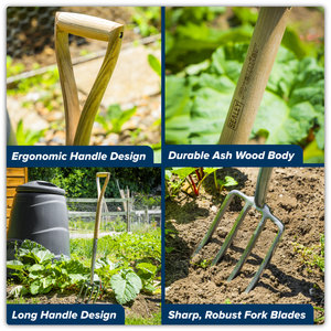 Sealey GTWH018 Premier Border Fork with Ash Handle & Stainless Steel Tines - additional view 5