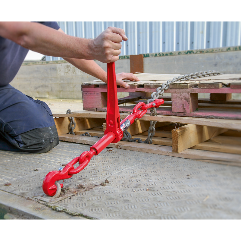 Sealey LB002 Ratchet Load Binder 9.5-12.7mm 4200kg Capacity - additional view 3
