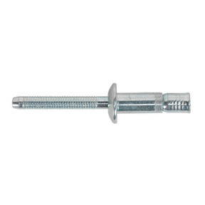 Sealey MB6332 Zinc Plated Steel Structural Rivet 6.3 x 32mm - Pack of 100