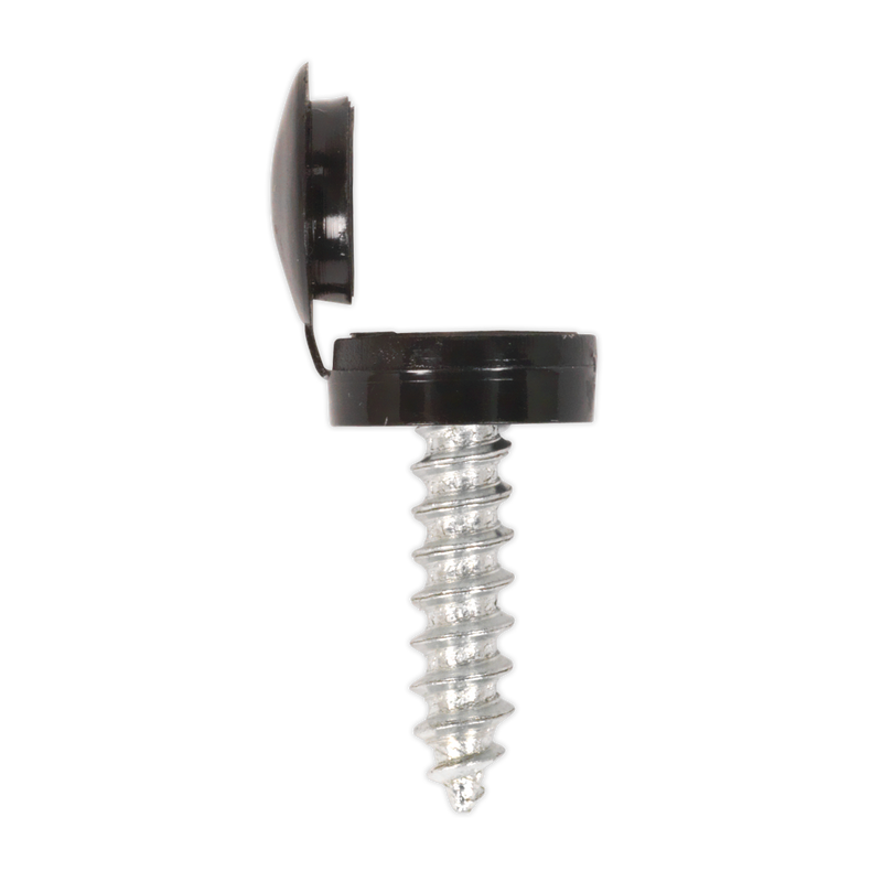 Sealey NPSSET Clip Strip Deal - Mixed Numberplate Screws - additional view 4