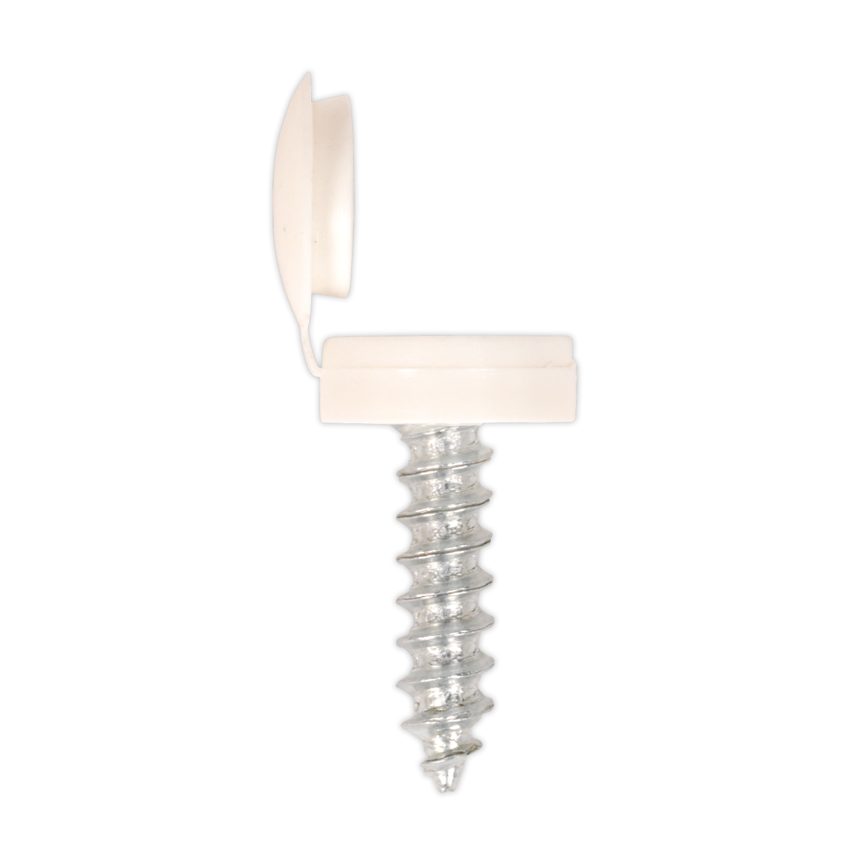 Sealey NPSSET Clip Strip Deal - Mixed Numberplate Screws - additional view 2