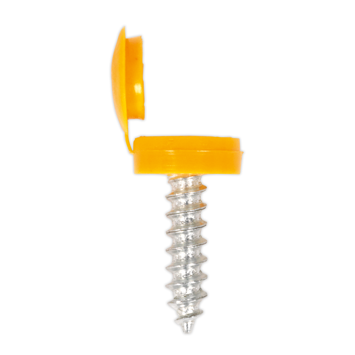 Sealey NPSSET Clip Strip Deal - Mixed Numberplate Screws - additional view 3