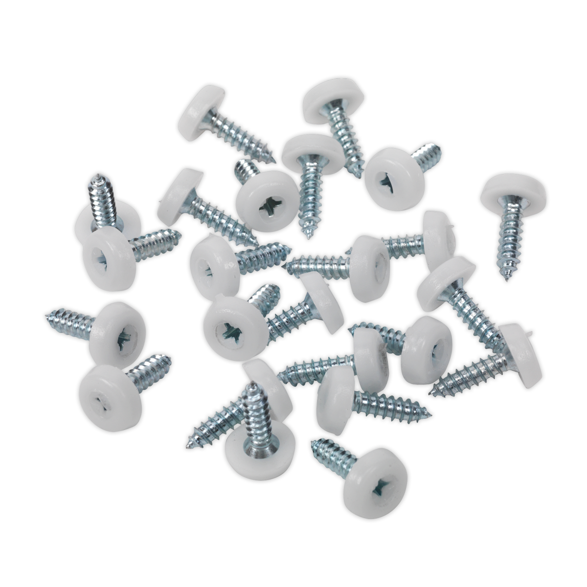 Sealey NPSSET Clip Strip Deal - Mixed Numberplate Screws - additional view 9