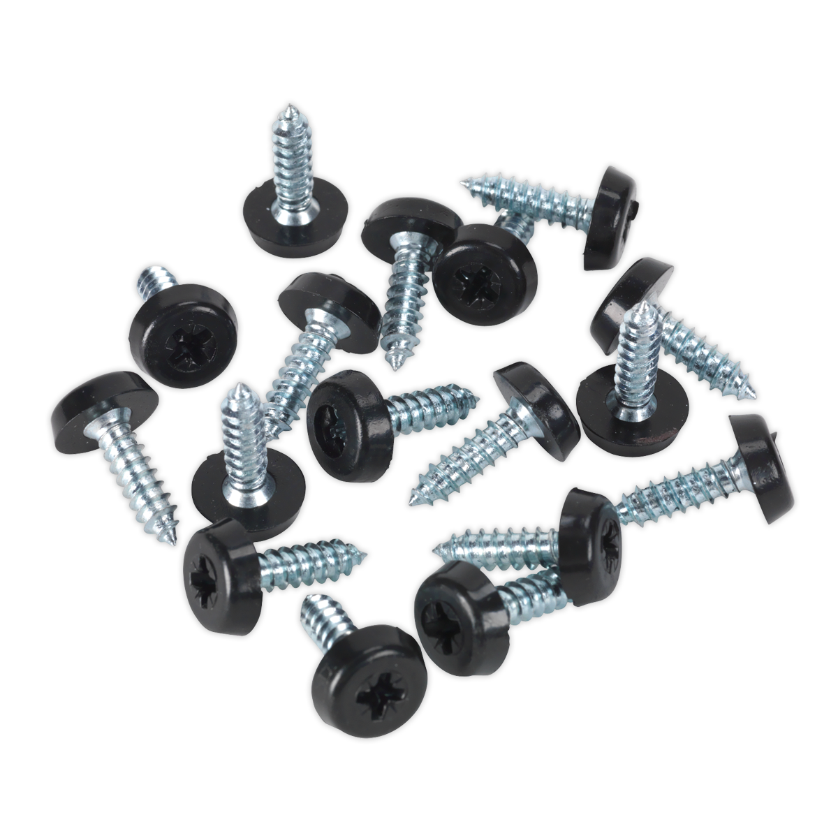 Sealey NPSSET Clip Strip Deal - Mixed Numberplate Screws - additional view 11