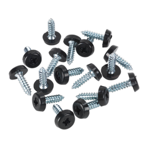 Sealey NPSSET Clip Strip Deal - Mixed Numberplate Screws - additional view 11