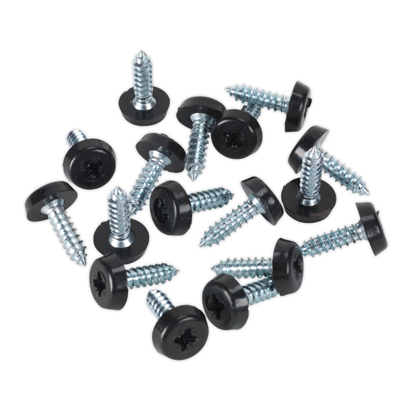 Sealey NPSSET Clip Strip Deal - Mixed Numberplate Screws - additional view 11