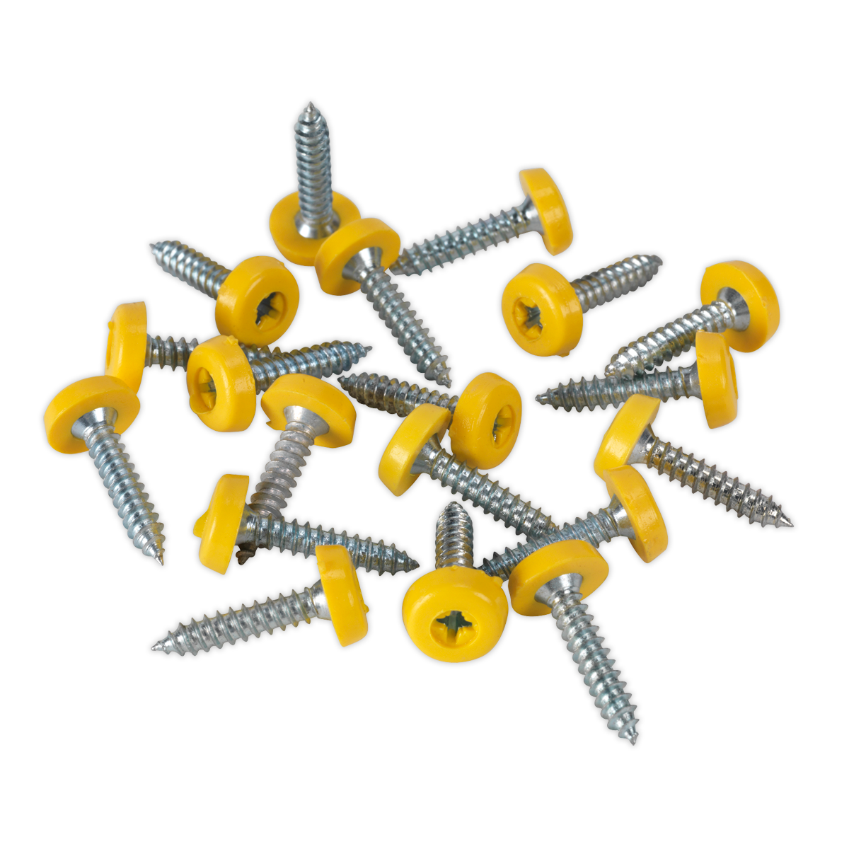 Sealey NPSSET Clip Strip Deal - Mixed Numberplate Screws - additional view 6