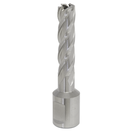 Sealey RBHSS12L Worksafe® 12mm HSS Mag Drill Bit Cut Depth 50mm