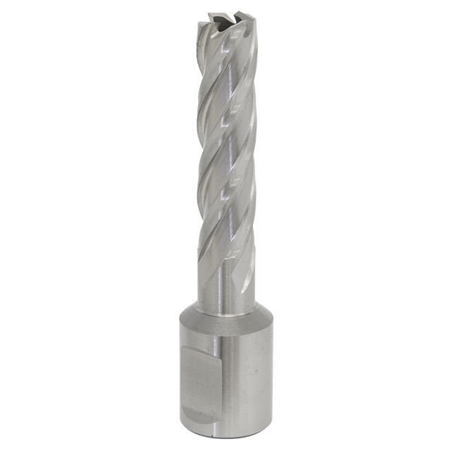 Sealey RBHSS12L Worksafe® 12mm HSS Mag Drill Bit Cut Depth 50mm