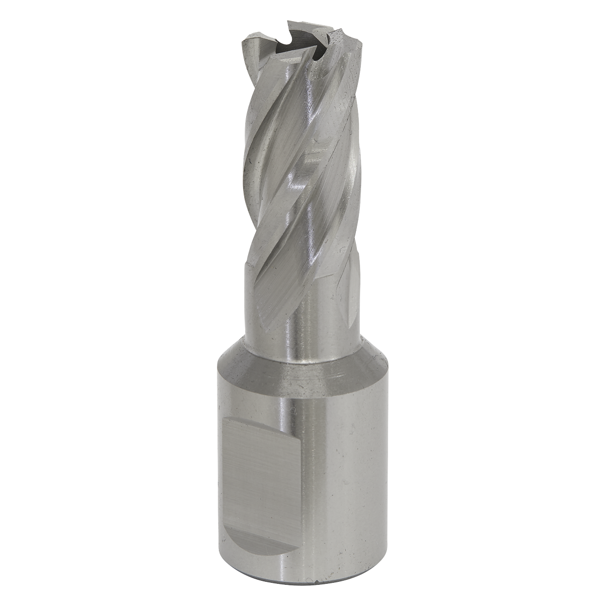 Sealey RBHSS12S Worksafe® 12mm HSS Mag Drill Bit Cut Depth 25mm