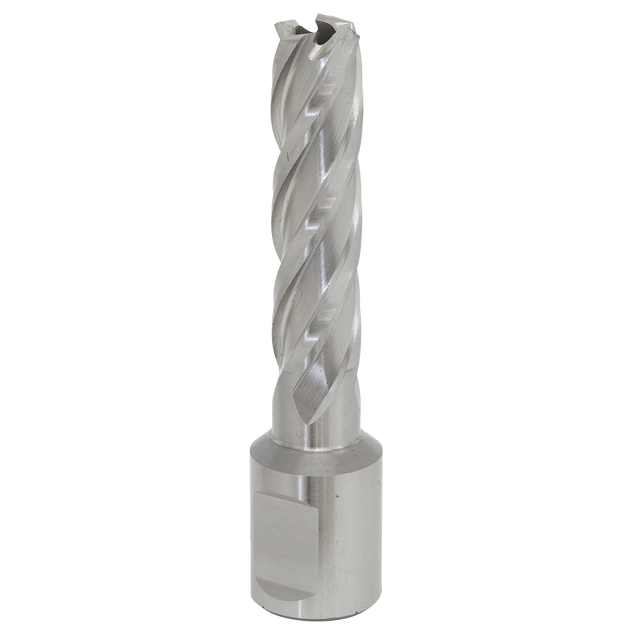 Sealey RBHSS13L Worksafe® 13mm HSS Mag Drill Bit Cut Depth 50mm