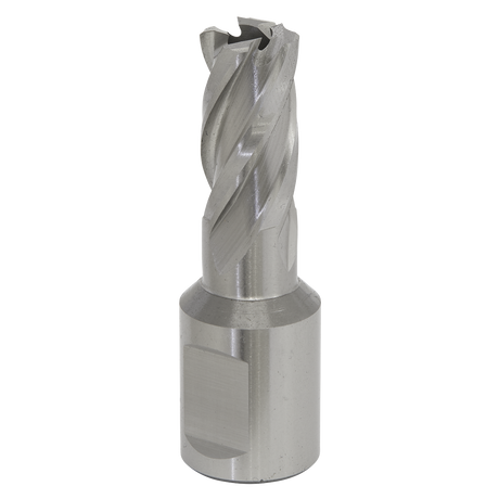 Sealey RBHSS13S Worksafe® 13mm HSS Mag Drill Bit Cut Depth 25mm