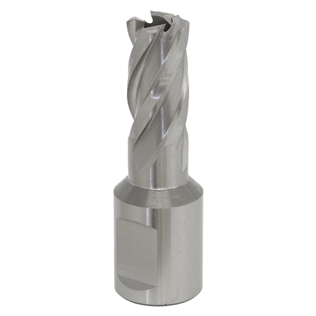 Sealey RBHSS13S Worksafe® 13mm HSS Mag Drill Bit Cut Depth 25mm