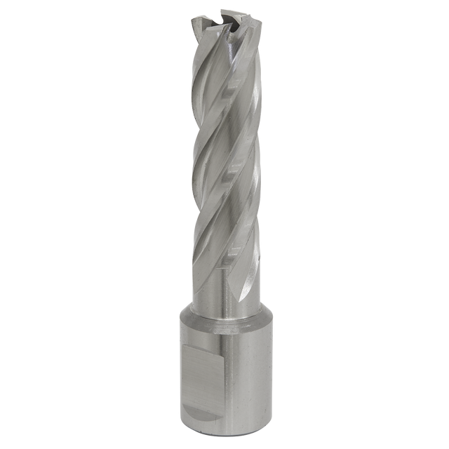 Sealey RBHSS14L Worksafe® 14mm HSS Mag Drill Bit Cut Depth 50mm