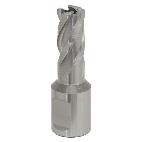Sealey RBHSS14S Worksafe® 14mm HSS Mag Drill Bit Cut Depth 25mm