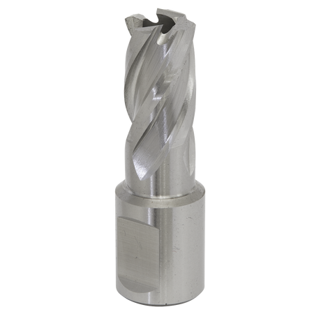 Sealey RBHSS15S Worksafe® 15mm HSS Mag Drill Bit Cut Depth 25mm