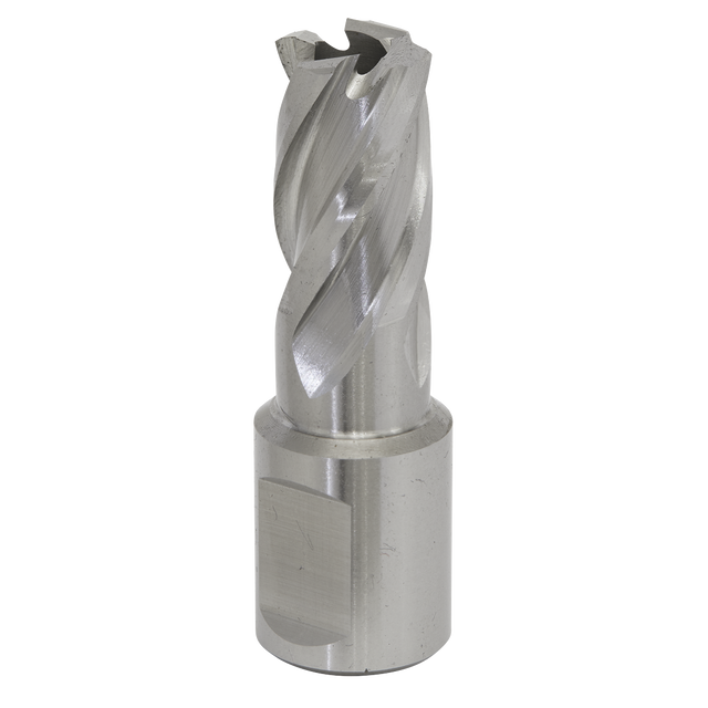 Sealey RBHSS15S Worksafe® 15mm HSS Mag Drill Bit Cut Depth 25mm