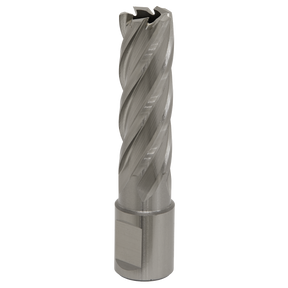 Sealey RBHSS17L Worksafe® 17mm HSS Mag Drill Bit Cut Depth 50mm