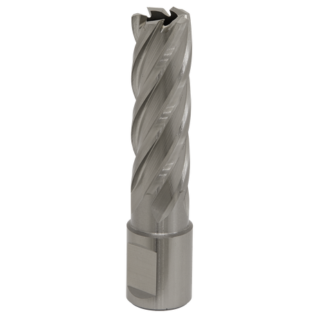 Sealey RBHSS17L Worksafe® 17mm HSS Mag Drill Bit Cut Depth 50mm
