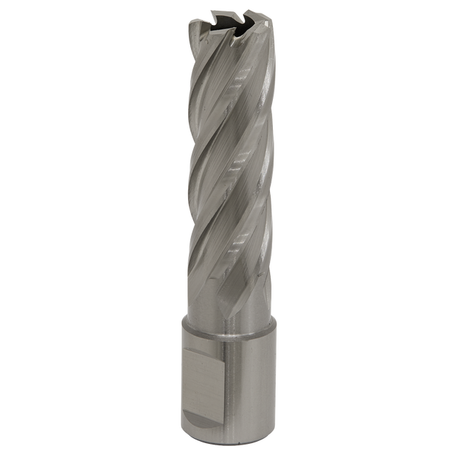 Sealey RBHSS17L Worksafe® 17mm HSS Mag Drill Bit Cut Depth 50mm